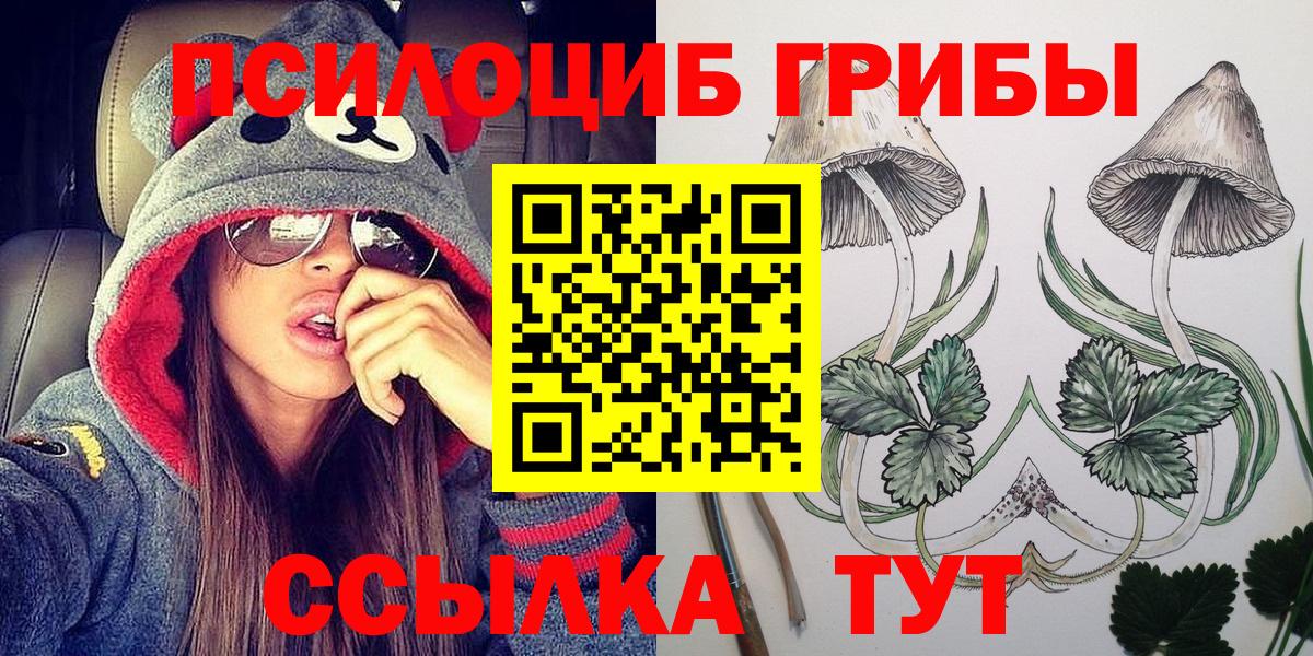 Псилоцибиновые грибы Psilocybe Новоуральск